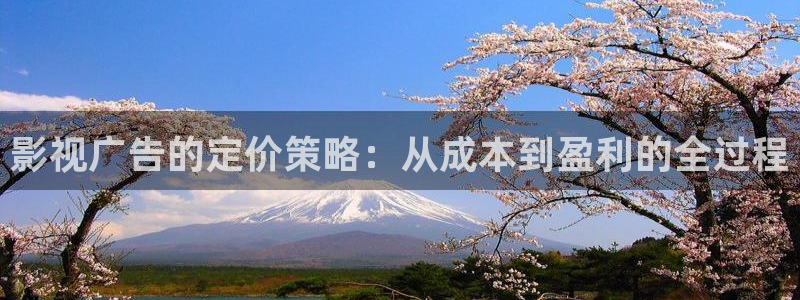 电影飘花网：影视广告的定价策略：从成本到盈利的全过程