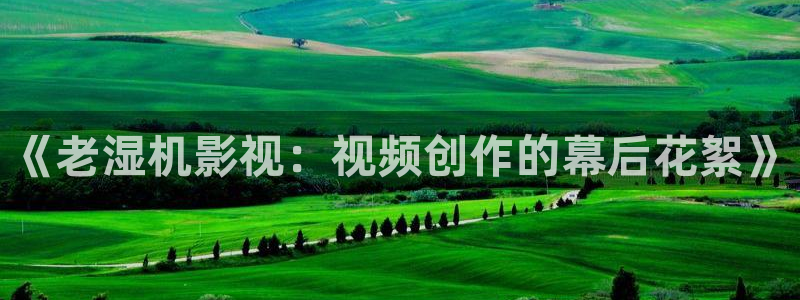 飘花播播：《老湿机影视：视频创作的幕后花絮》