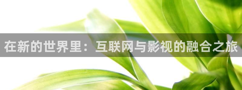 飘花影院天美视频