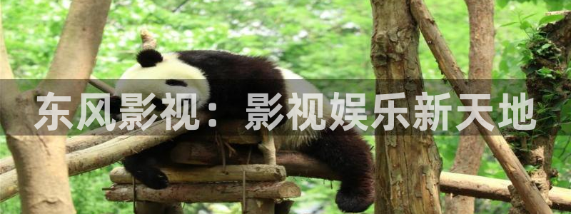 新飘花电影网