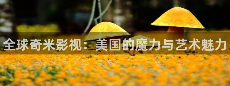 飘花理论影院