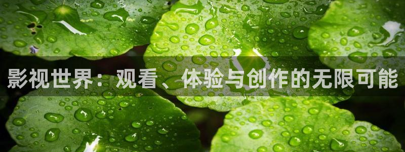 4480飘花影院
