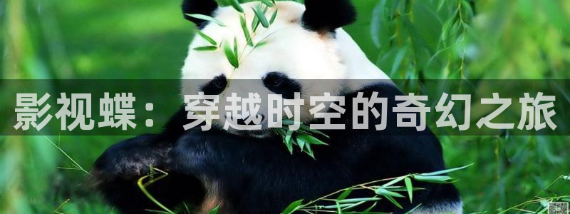 飘花电影手机在线观看